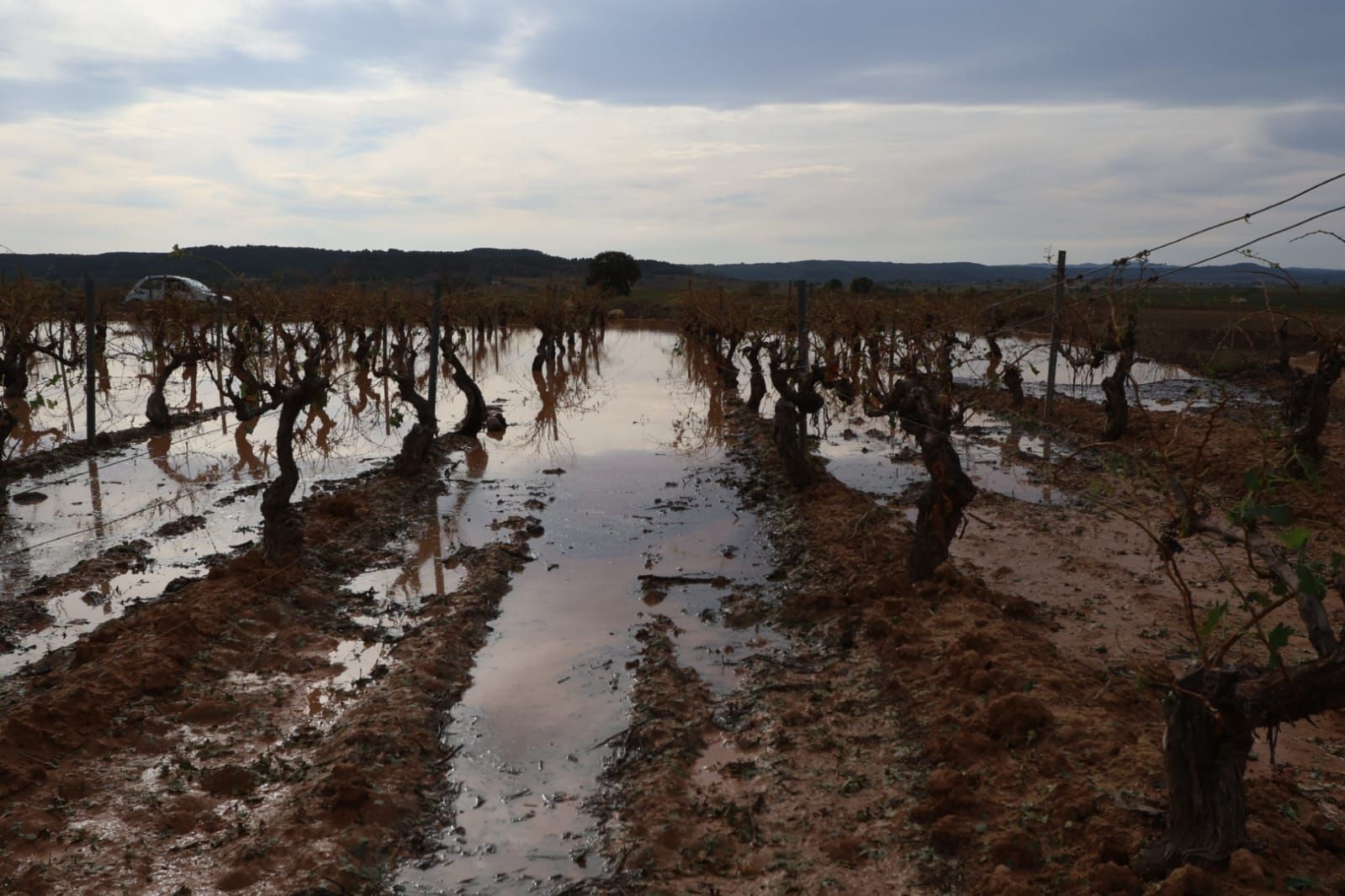 Las consecuencias del temporal de granizo que azotó ayer Requena