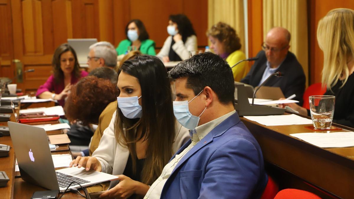 Pedro García (IU) y Carmen González (PSOE), durante la sesión plenaria. 