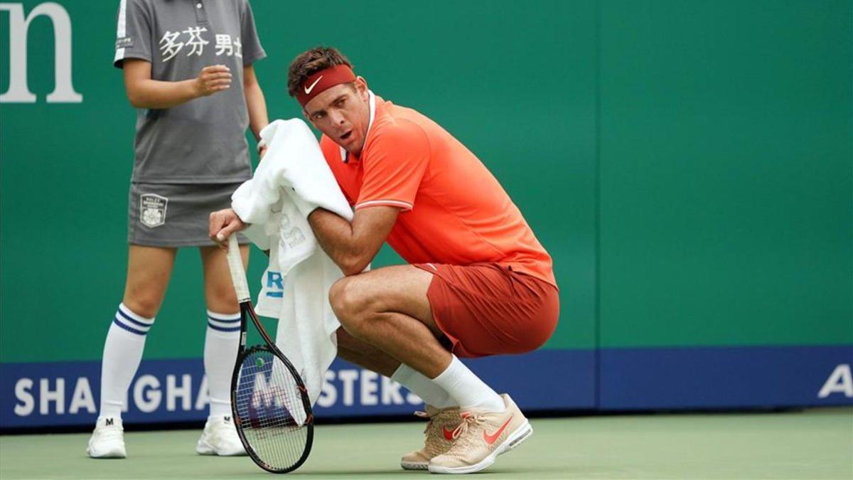 Del Potro se lesionó la rodilla hace seis meses