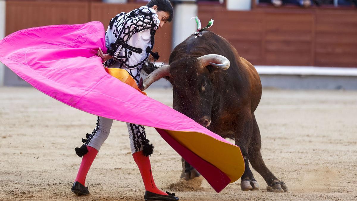 San Isidro 2025 anuncia un total de 55 actuantes: 43 matadores de toros, 5 rejoneadores y 7 novilleros con picadores.