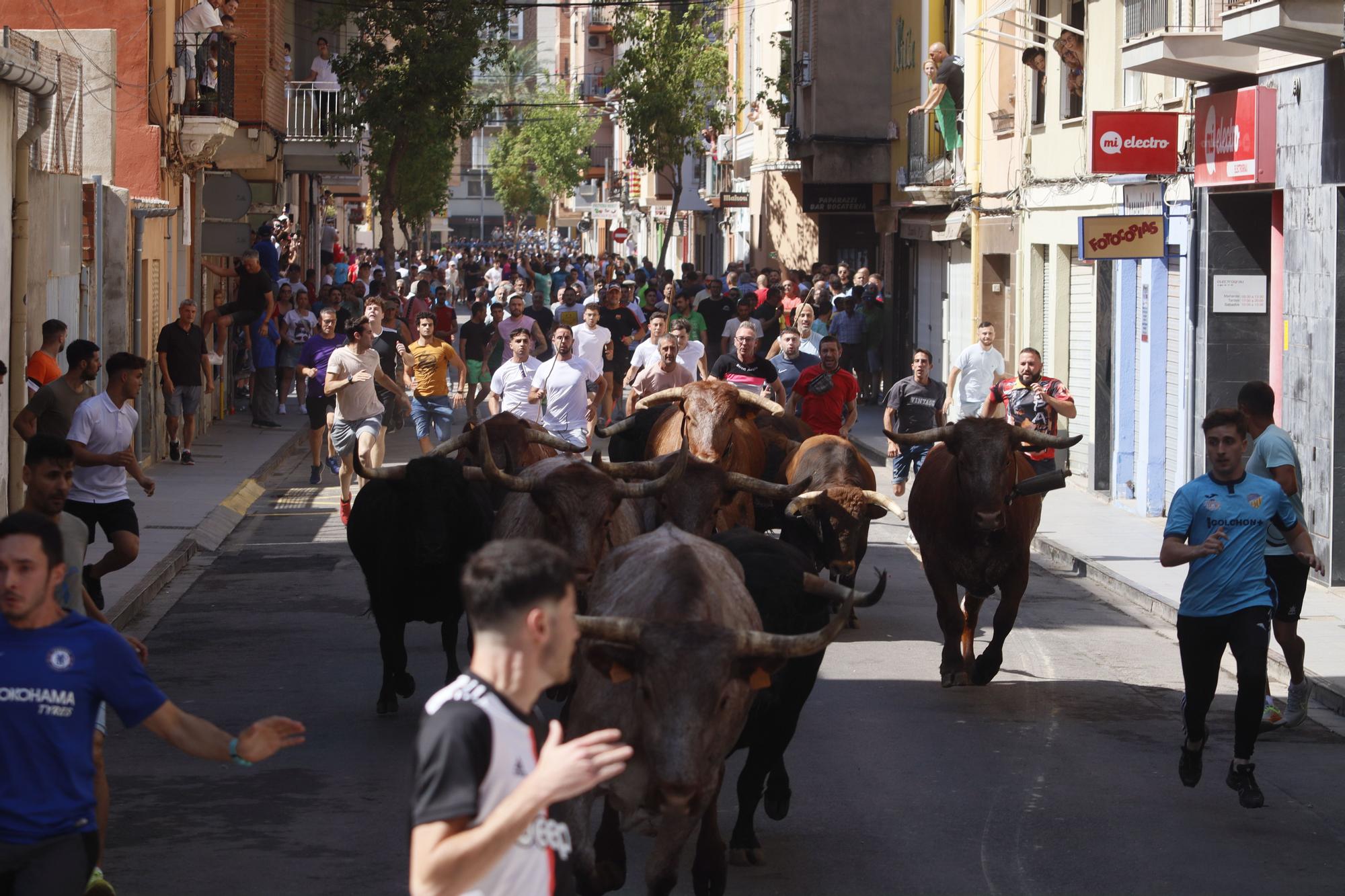 Fiestas de Sant Pere 2023: Las mejores imágenes del encierro de cerriles en el Grau de Castelló