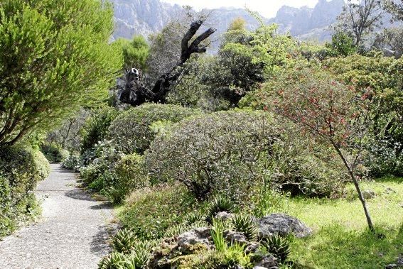 Einer der schönsten Winkel der Insel - das Tal und der Garten von Ariant - kann wieder bei geführten Rundgängen erkundet werden.