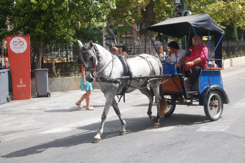 Día del caballo en la Feria de Murcia 2018