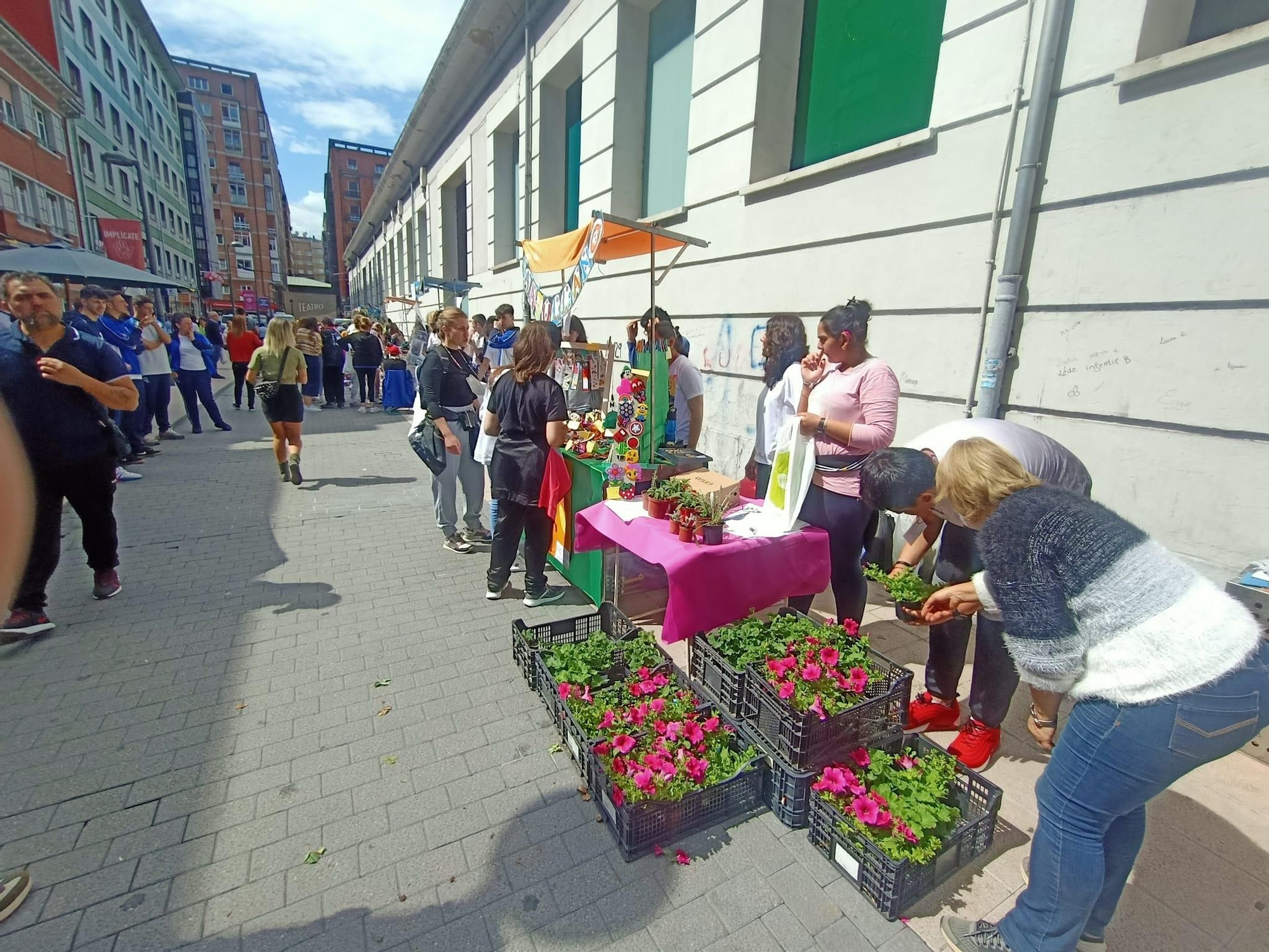 Mercado de cooperativas y asociaciones educativas de Langreo