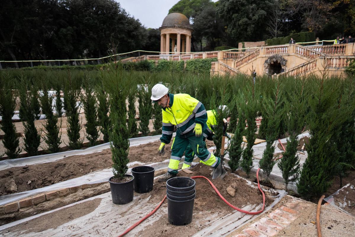 Visita exclusiva al Laberint d’Horta, cerrado durante un año por obras de restauración. Ya se están realizando nuevas plantaciones para recuperar sus jardines históricos. Barcelona, 4 de diciembre de 2025.