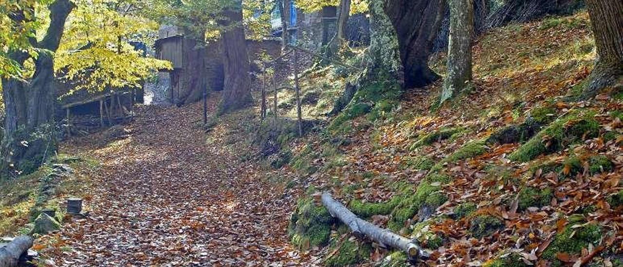 O Courel  |  No es solo un paraje que destaque por sus bosques de castaños, en esta área de Lugo hay hasta 17 iglesias y dos castillos, uno de ellos, el de Corbedo, es Bien de Interés Cultural.