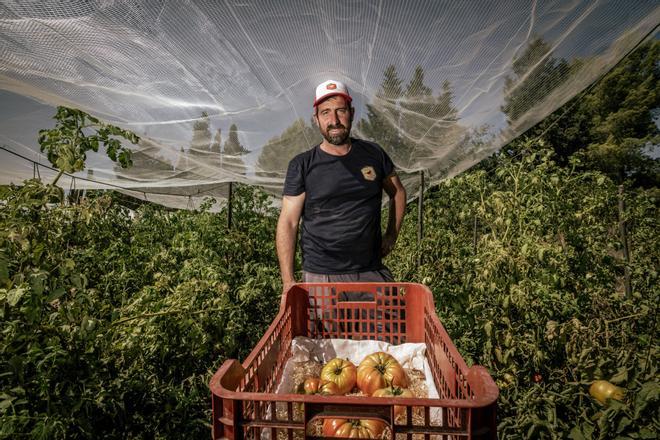Collserola prepara su propio sello 'Fet al Parc' para salvar su identidad a través del tomate mandó