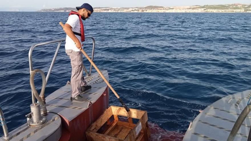 Los 15 barcos de la Mancomunidad limpian ya el litoral de la Costa del Sol