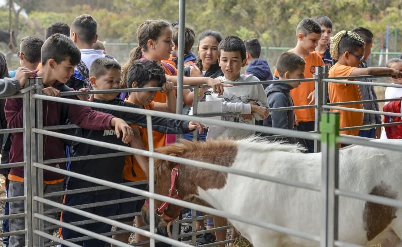 23/05/2018 ARUCAS. La Feria Escolar con más de 1.300 escolares, conocieron  y disfrutaron todo lo que ofrece el sector primario en la .Granja experimental del Cabildo. FOTO: J. PÉREZ CURBELO  | 23/05/2018 | Fotógrafo: José Pérez Curbelo