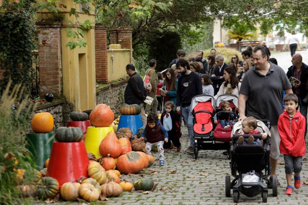 Calabazas en el Jardín Botánico de Gijón