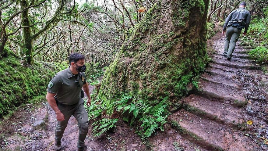 Europe rewards Anaga for being the area with the most endemism on the continent