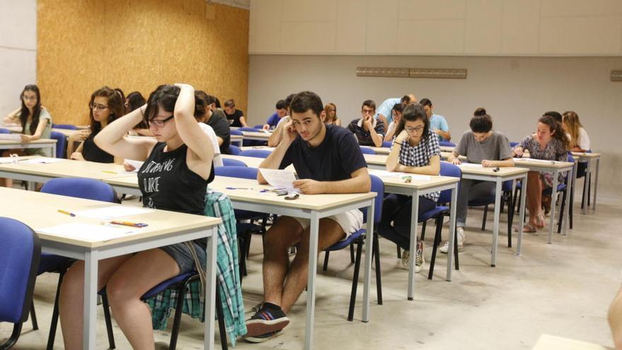 Estudios a la carta en la universidad