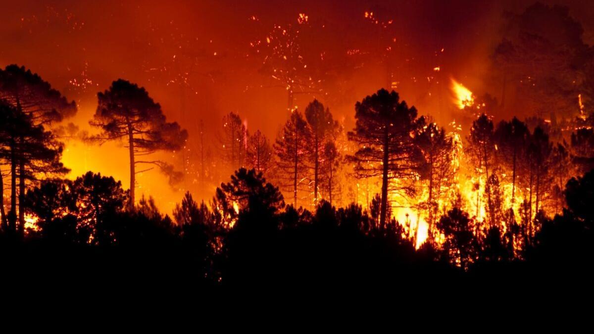 Sube un 12% el número de grandes incendios forestales en España en diez años