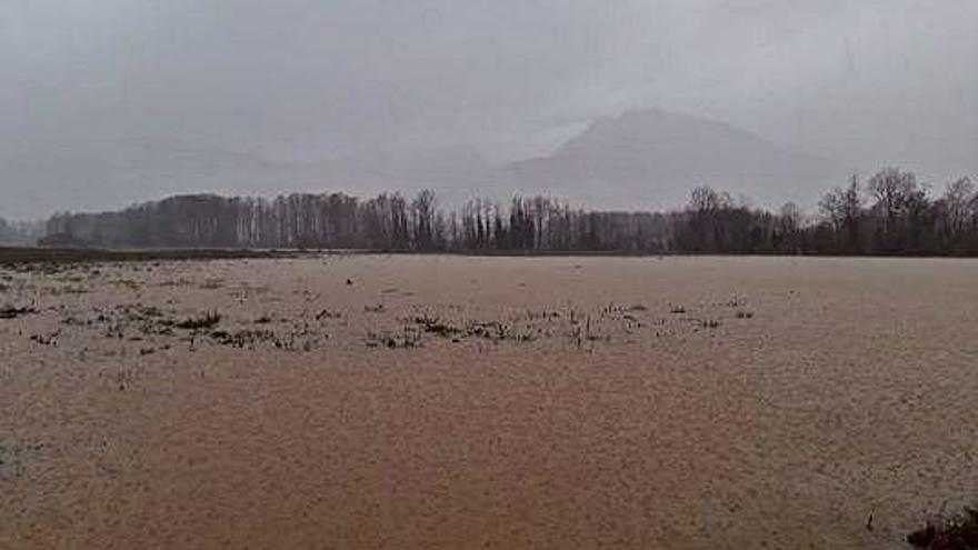 Camps inundats a la Vall d&#039;en Bas, zona Verntallat.