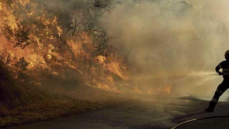 Un brigadista intenta apagar las llamas del incendio de Cualedro (Ourense) de principios de agosto que quemó 1.000 hectáreas.