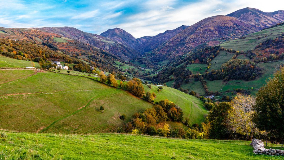 La ruta de senderismo más infravalorada de España que recorre un robledal único
