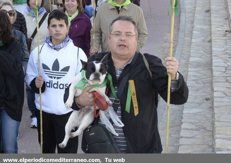 GALERÍA DE FOTOS - Romería Magdalena 2014 (3)