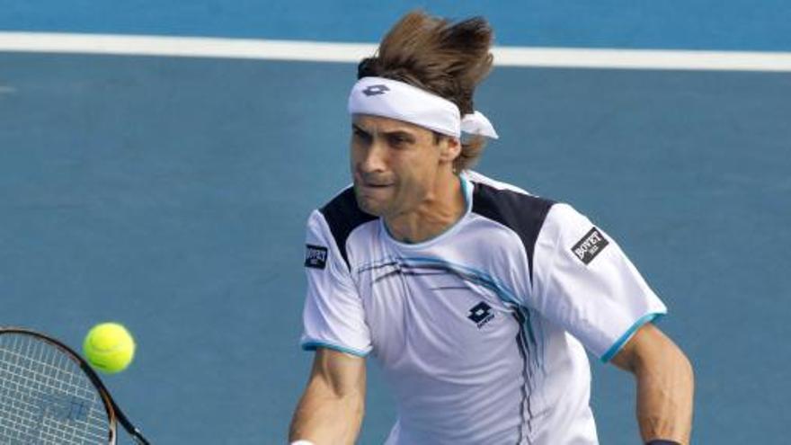 David Ferrer