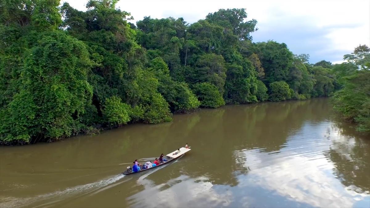 El Amazonas podría convertirse en el río más largo del planeta