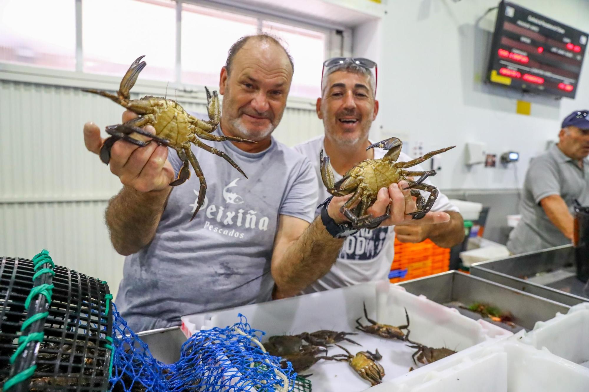 Los últimos retoques de la Festa do Marisco de O Grove.