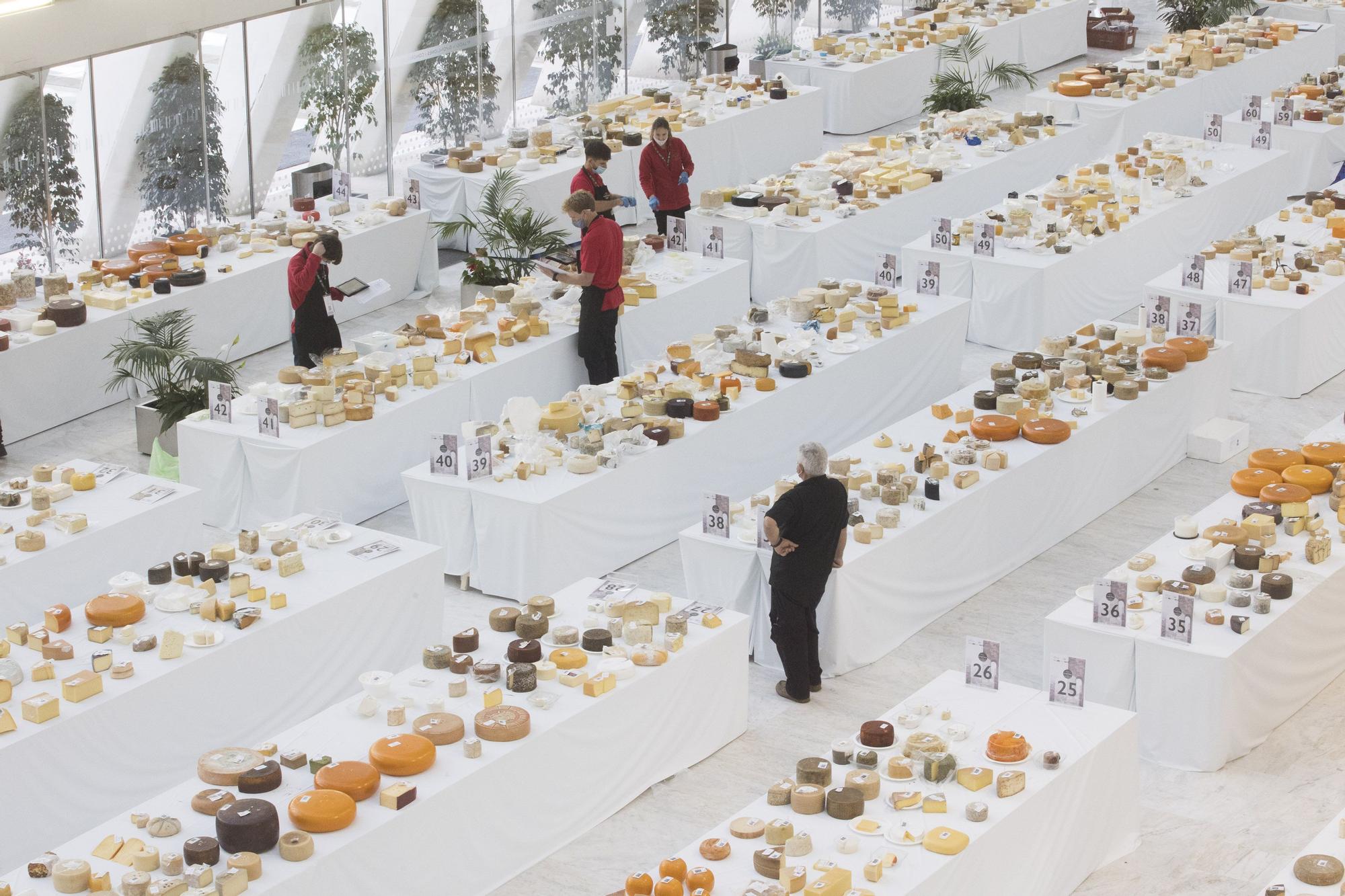 World Cheese Festival: las imágenes de los mejores quesos del mundo