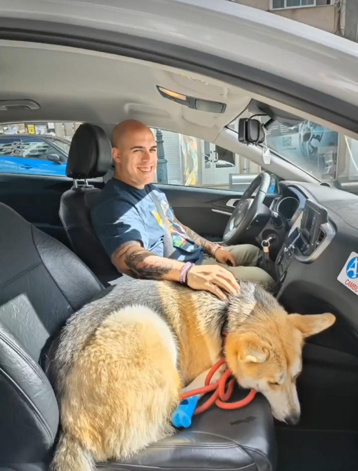 Coke, con un cliente peludo en su taxi.