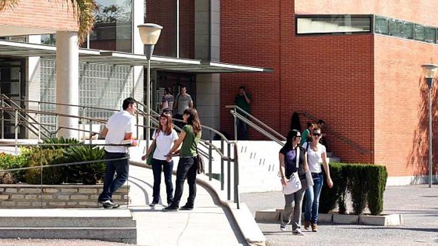 Alumnos en el campus de Elche de la Universidad Miguel Hernández, en una imagen de archivo.