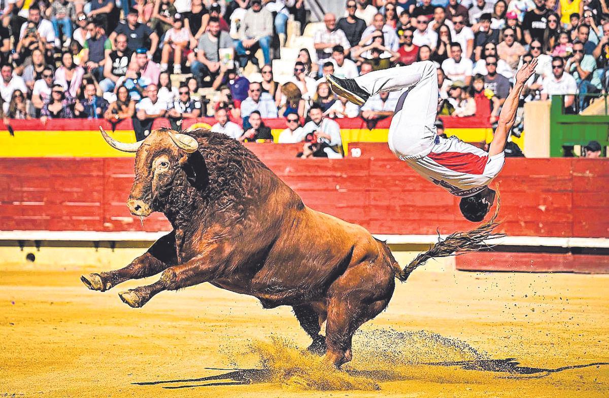 La afición responde siempre a los festejos populares y llena la plaza de toros de Castelló.
