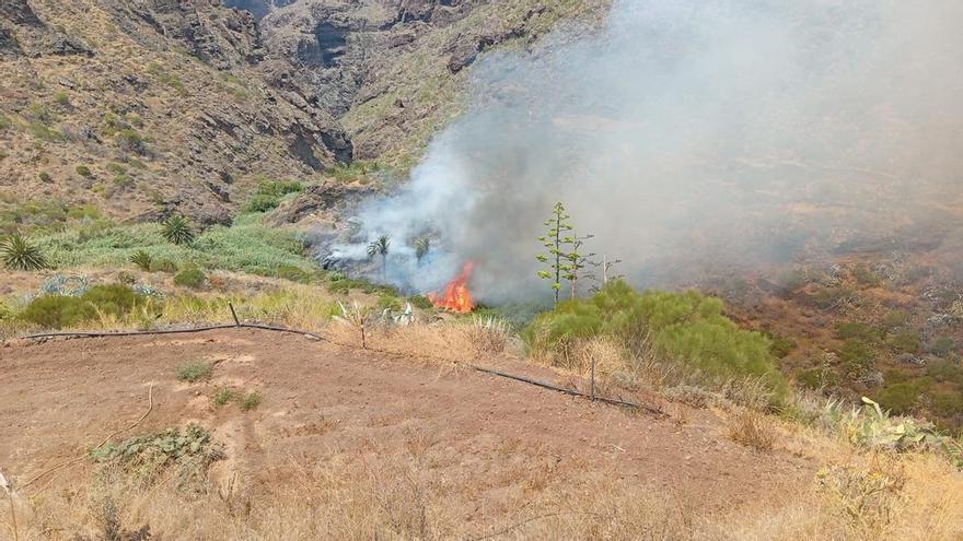 El conato de Masca recuerda la prealerta por riesgo de incendios forestales activa en Tenerife
