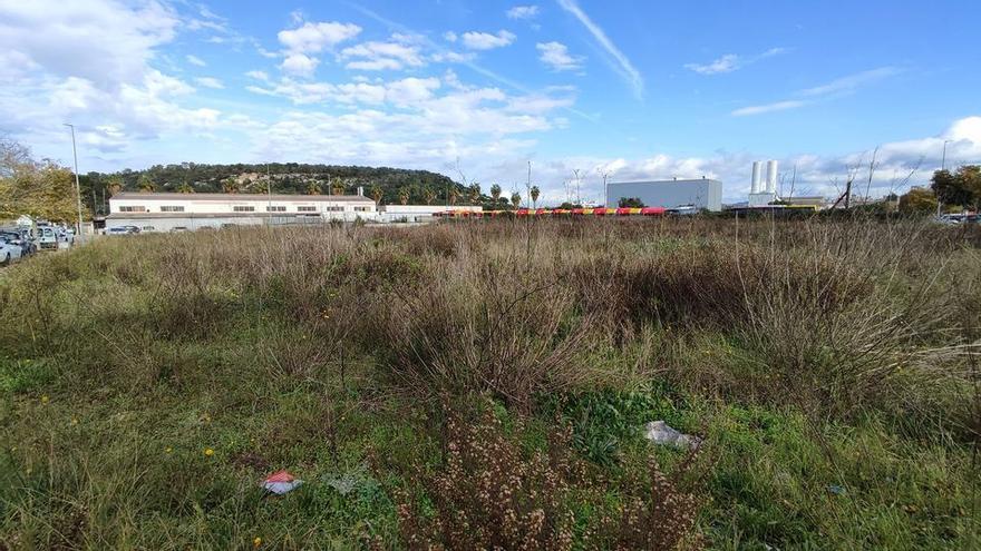 Santos Inocentes: Del dron que escanea la basura en Calvià a una Ciudad de las Artes en Felanitx