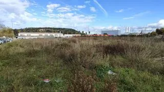 Santos Inocentes: Del dron que escanea la basura en Calvià a una Ciudad de las Artes en Felanitx
