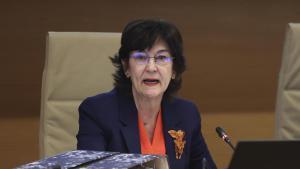 La presidenta de la CNMC, Cani Fernández.