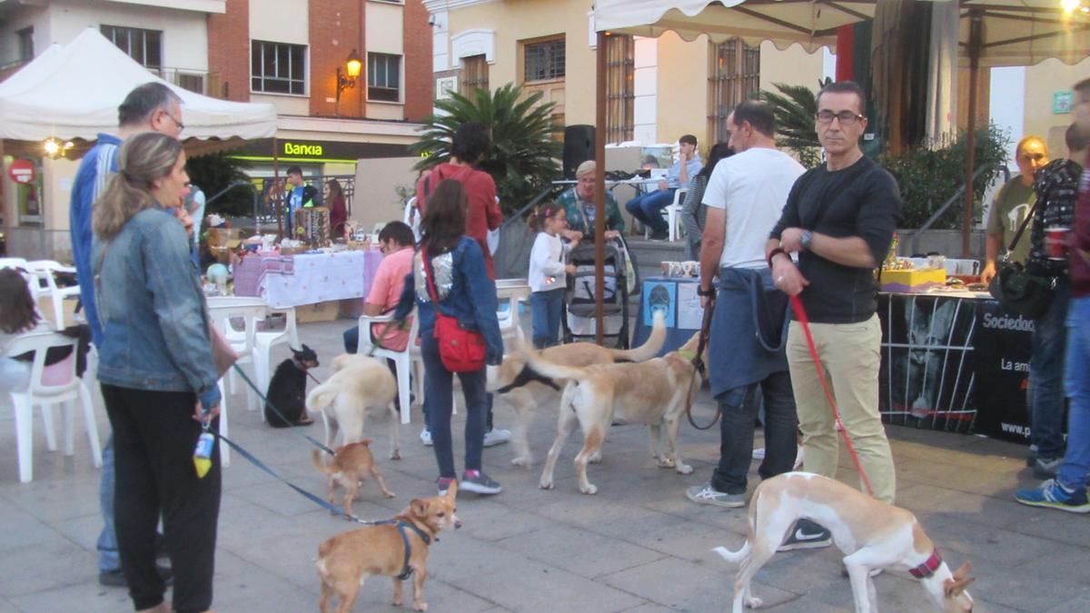 La SPAB en una de sus acciones a pie de calle.