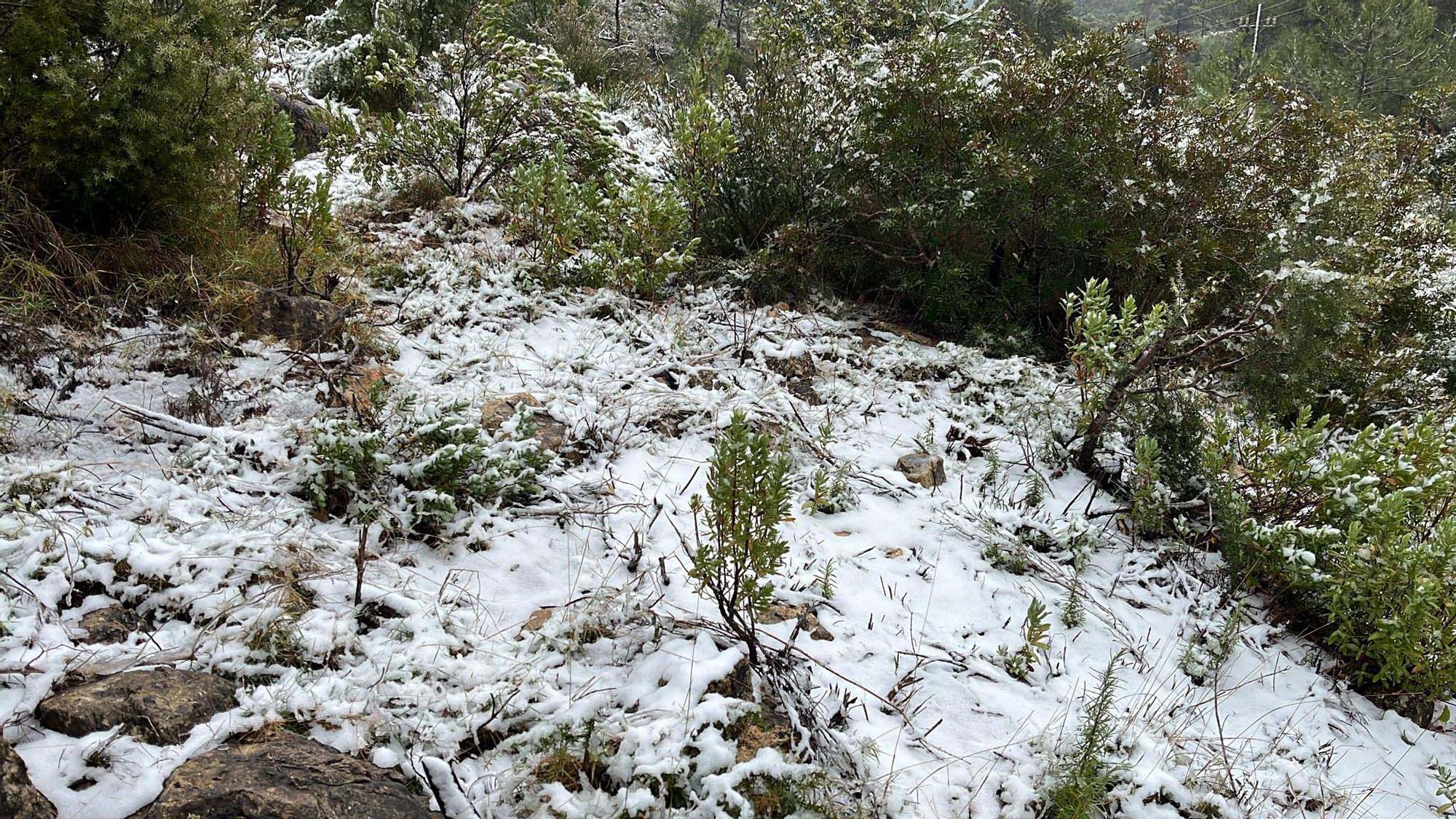 Galería de imágenes de la nevada por la borrasca Juliette en Ibiza