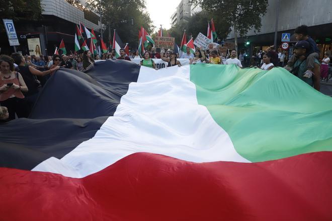 La manifestación por Palestina organizada en Córdoba, en imágenes