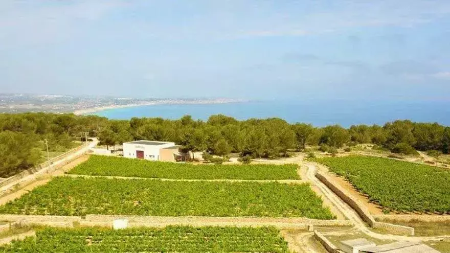 Terramoll, el restaurante Sol y el Tanga premiados por la Academia de Gastronomía de Ibiza y Formentera