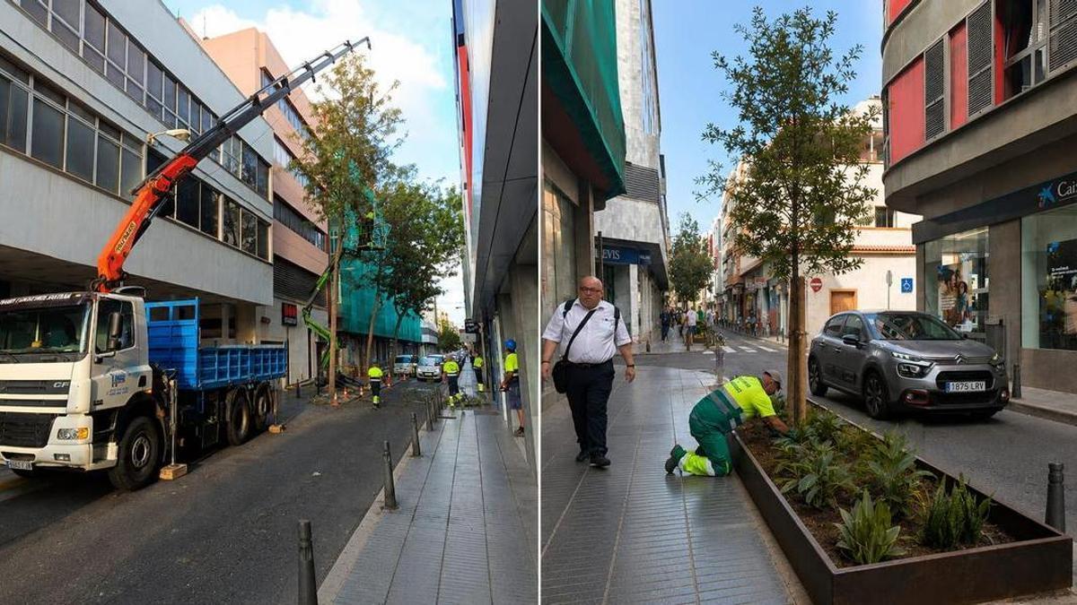 Antes y después de la actuación de replantación en la calle La Naval.