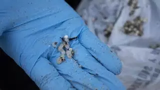 Medios aéreos del Gobierno ven "prácticamente imposible" localizar pellets en el mar