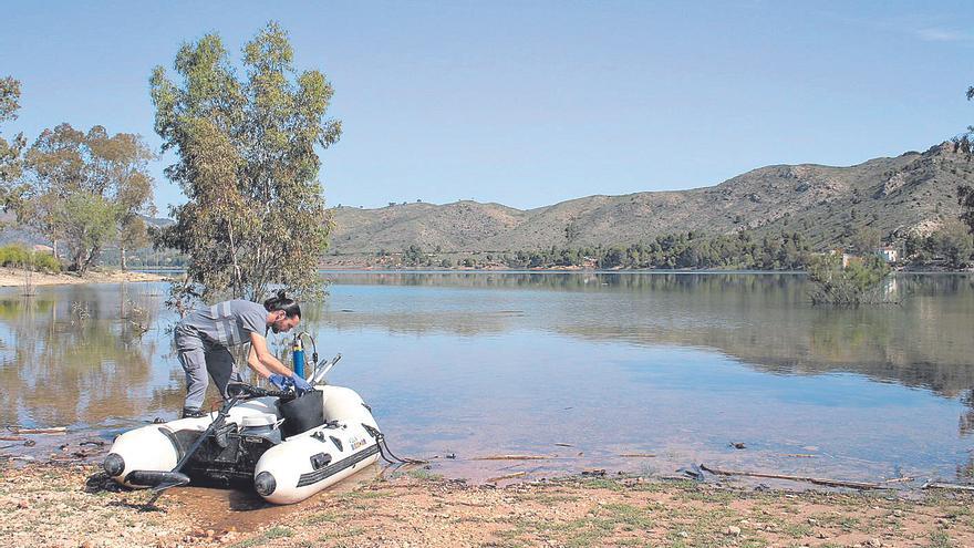 Control del agua para combatir la amenaza de las algas en  17 embalses del Segura