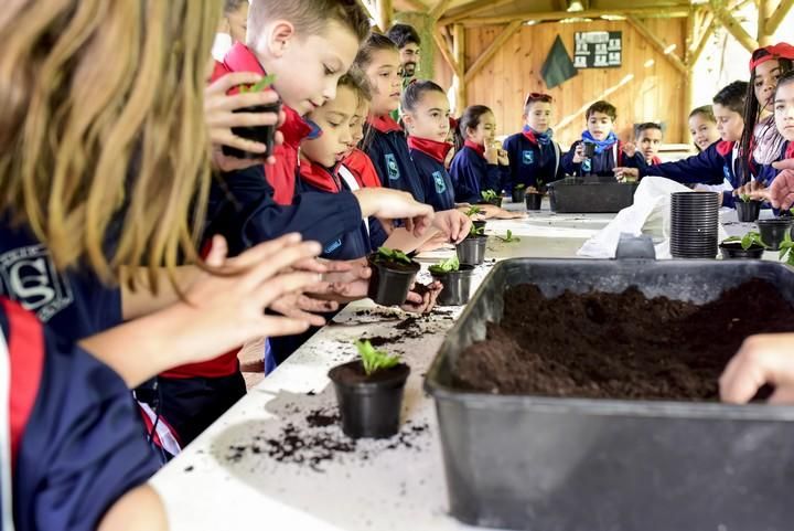 Visita escolar a la Granja Agricola del Cabildo