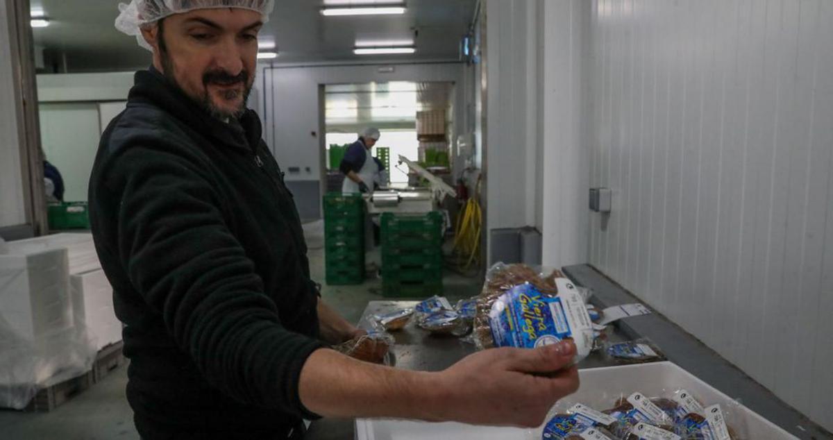 Una vieira ya limpia y lista para consumir. |  Iñaki Abella
