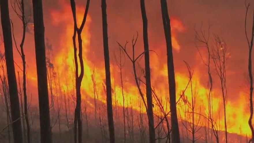 Portugal declara el Estado de emergencia por la oleada de incendios