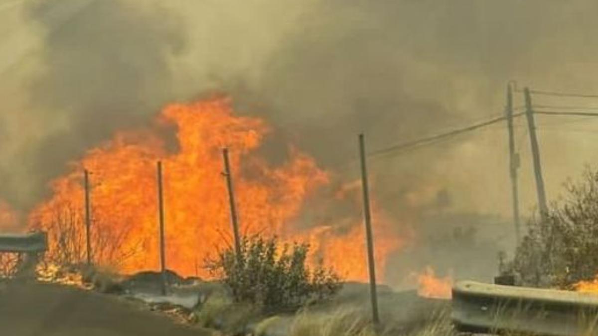 Incendio en La Palma (17/08/2021)