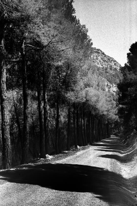 Carretera A-46, donde se inicia la Sierra del Segura, hacia Pedro Andrés.