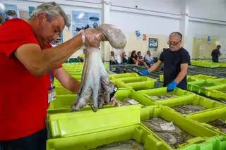 El alza de precios sostiene las ventas de las lonjas gallegas en los casi 190 millones
