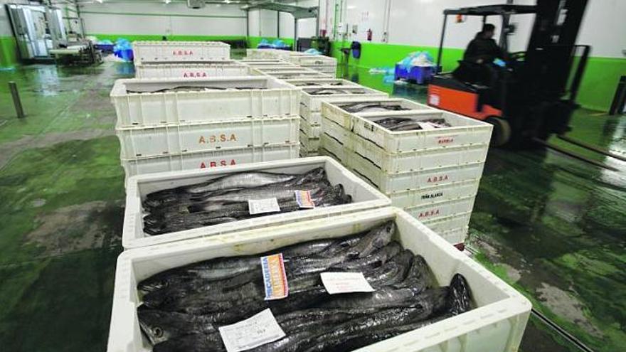 Cajas de pescadilla y merluza en la rula de Avilés