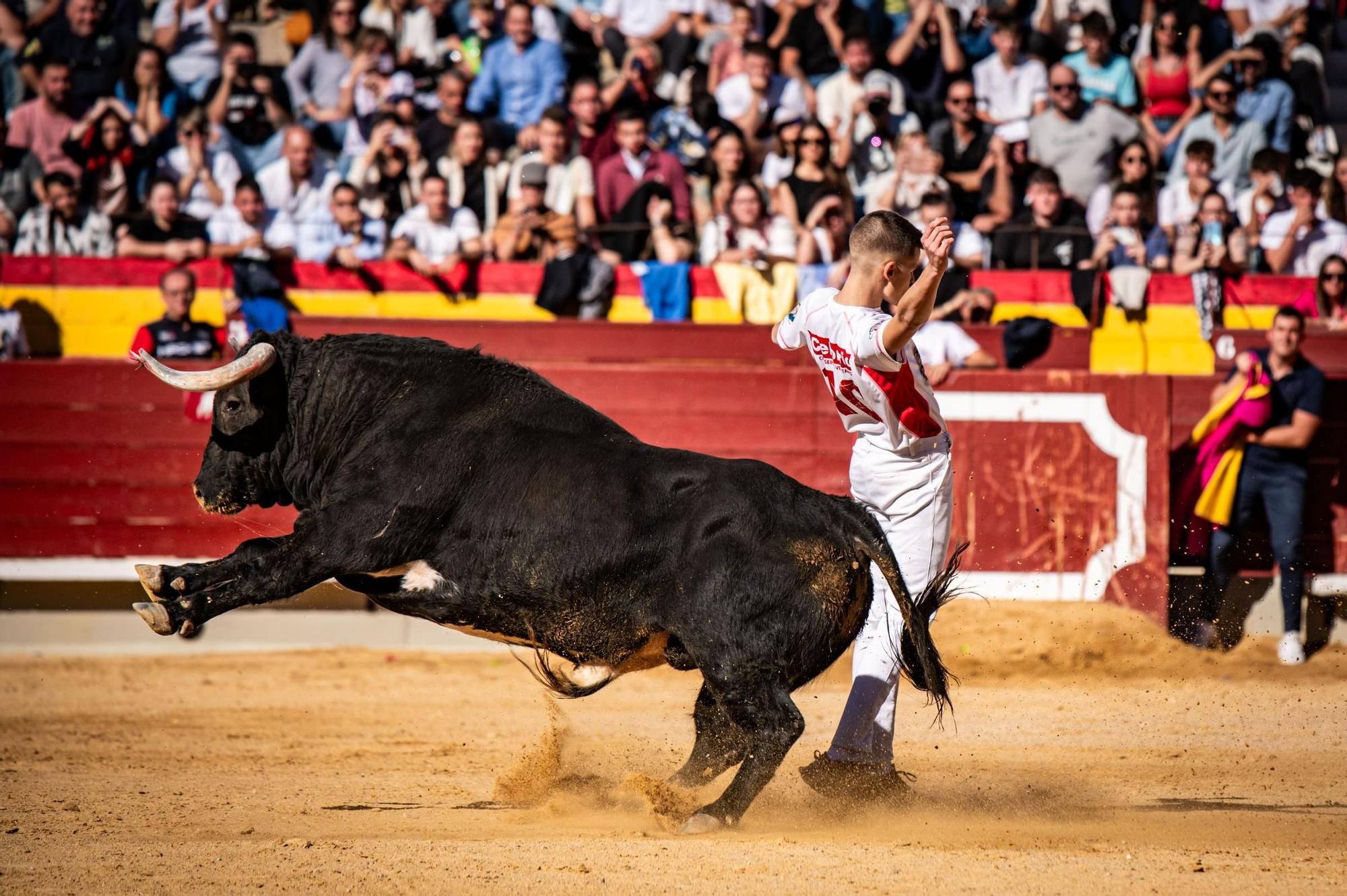 Así ha sido la gran final del campeonato de recortadores