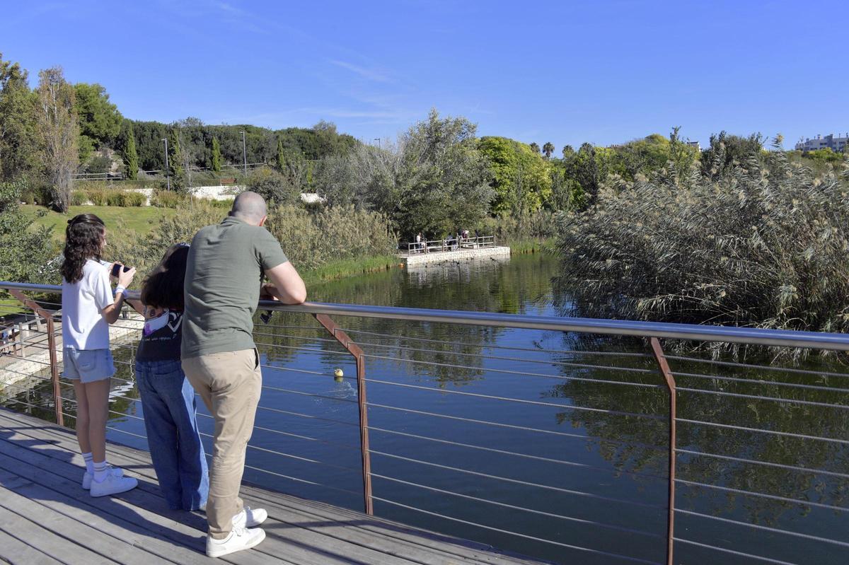 Parque La Marjal, en Playa de San Juan, en Alicante.