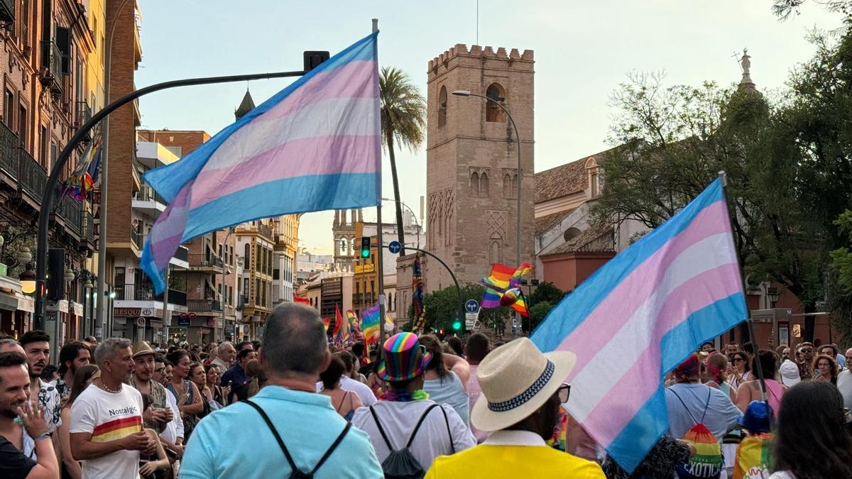 Manifestación del Orgullo LGTBI+ 2024 en Sevilla.