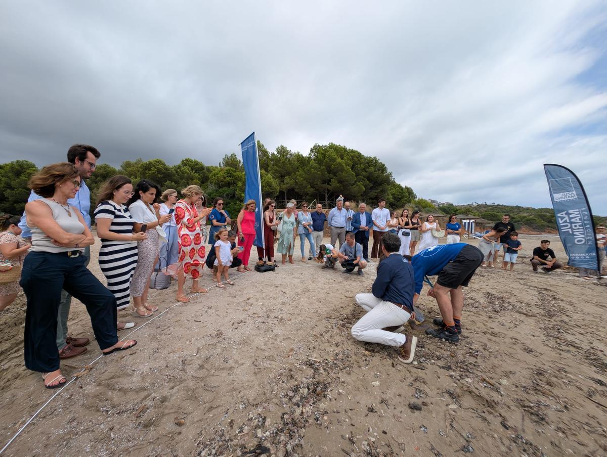 GALERÍA I La presentación de la nueva campaña para rescatar tortugas marinas, en imágenes